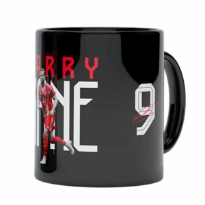 Bayern Munchen FC  Чаша Кейн