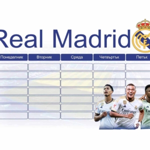 Real Madrid Ученическа програма
