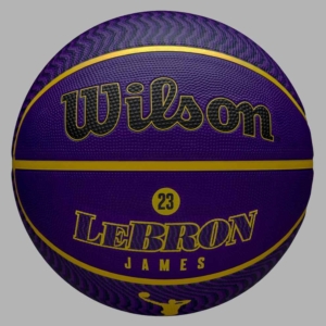 Баскетболна топка WILSON NBA LEBRON JAMES